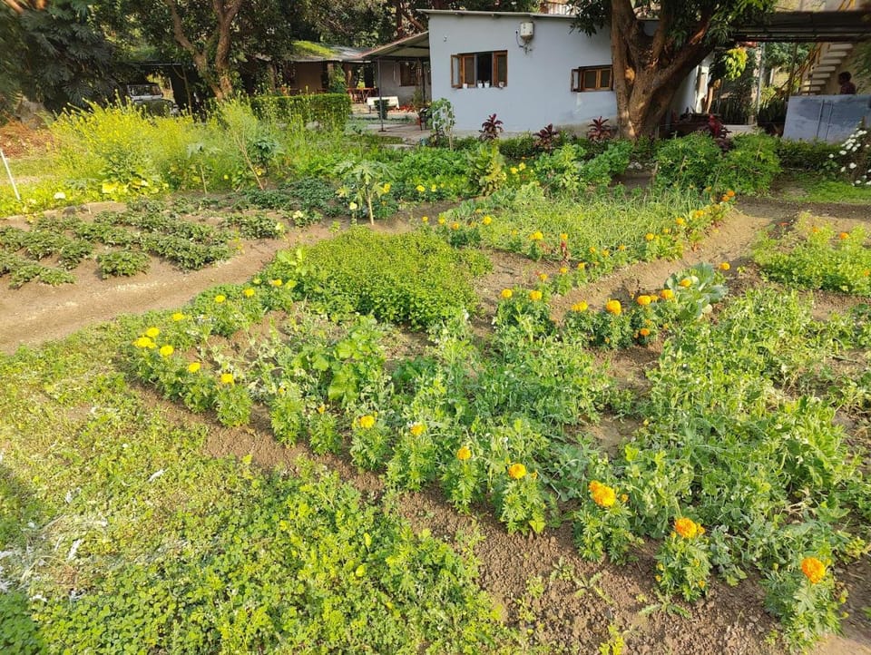 Minivets Nest Vacation rental in Uttarakhand