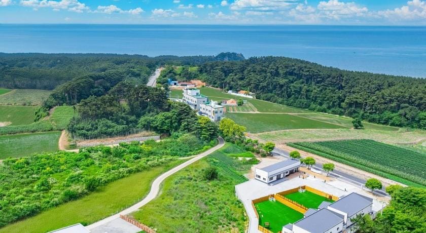 Mungs Club Pet friendly Pool Villa Bed and Breakfast in South Korea