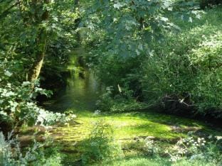 Holiday Home in Tavistock near Trout Lakes Vacation rental in West Devon District