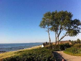 Cellina Modern retreat Vacation rental in Zingst