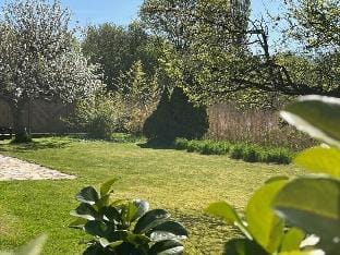 Roca Comfortable holiday residence Vacation rental in Timmendorfer Strand