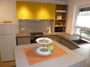 Rebenrain Comfortable holiday residence Vacation rental in Ortenau