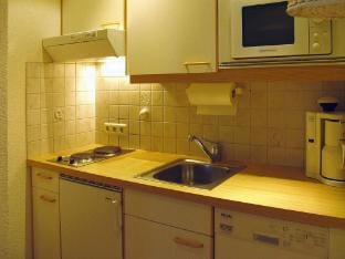 Chalet in Dienten with Ski-In Access  Sauna Apartment in Salzburgerland