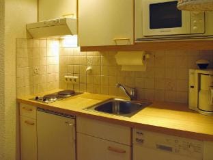Chalet in Dienten with Ski-In Access Apartment in Salzburgerland