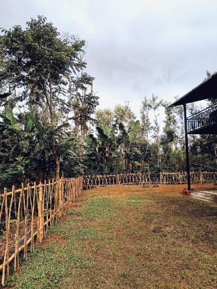 Cozy Camp Homestay  Vacation rental in Karnataka