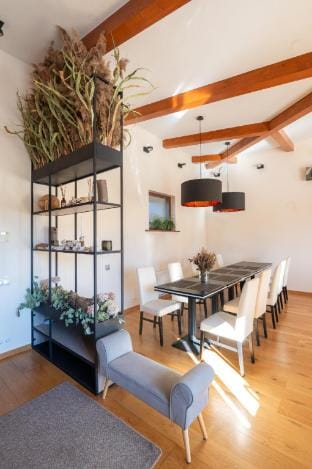 "Nature House" - Your Dream Holiday Spot! Villa in Latvia