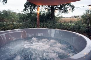 Luxe Boslodge Wellness Hellendoorn - Trix 53 Vacation rental in Overijssel (province)