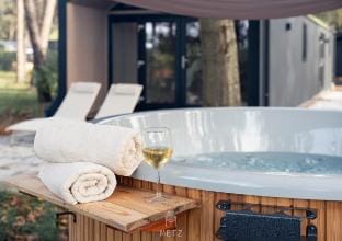 Sallandse Wellness Lodge Hottub - Louis 43 Vacation rental in Overijssel (province)