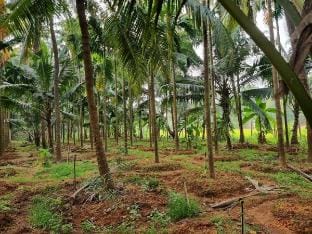 Villa with AC near Gokarna beach Bhavikodla Villa in Karnataka