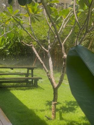 Elambo Space - 3 Phòng ngủ sân vườn, gần biển Vacation rental in Da Nang