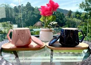 Space of Tranquility @ Quintet Apartment in Tanah Rata