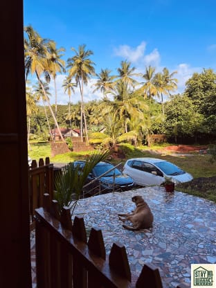 Stay in Woods Vacation rental in Goa, India