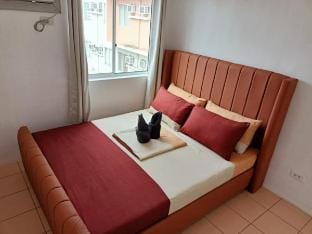 Dori's 2BR & 1Bath/Gym/Pool/Netflix/Wi-Fi Apartment in Davao City