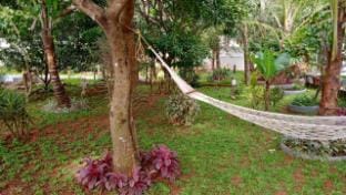 Bellevue Homestay and Wellness Centre Vacation rental in Kerala