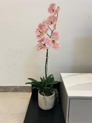 R&F 2Bedroom 2Bathroom By Wan Li Homestay Apartment in Johor Bahru