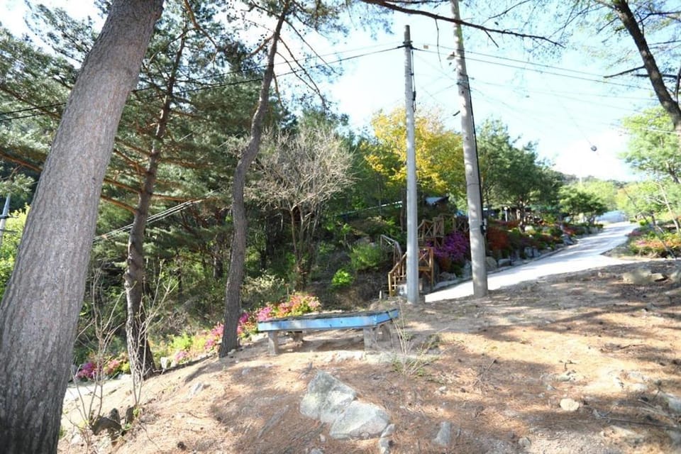 Jindongri Morning Pension Bed and Breakfast in South Korea