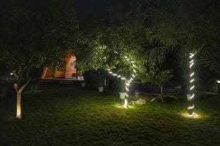 Taj Royale tree house Vacation rental in Noida