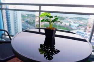 Azure Residences Staycation - 1BR Unit Apartment in Paranaque