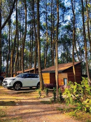 Datar Pinus Cabin Mezzanine 18-1 Villa in West Java