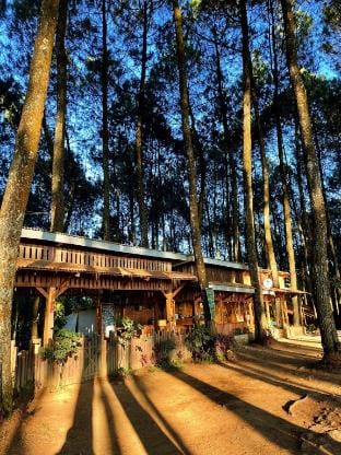 Datar Pinus Cabin Mezzanine 18-1 Villa in West Java