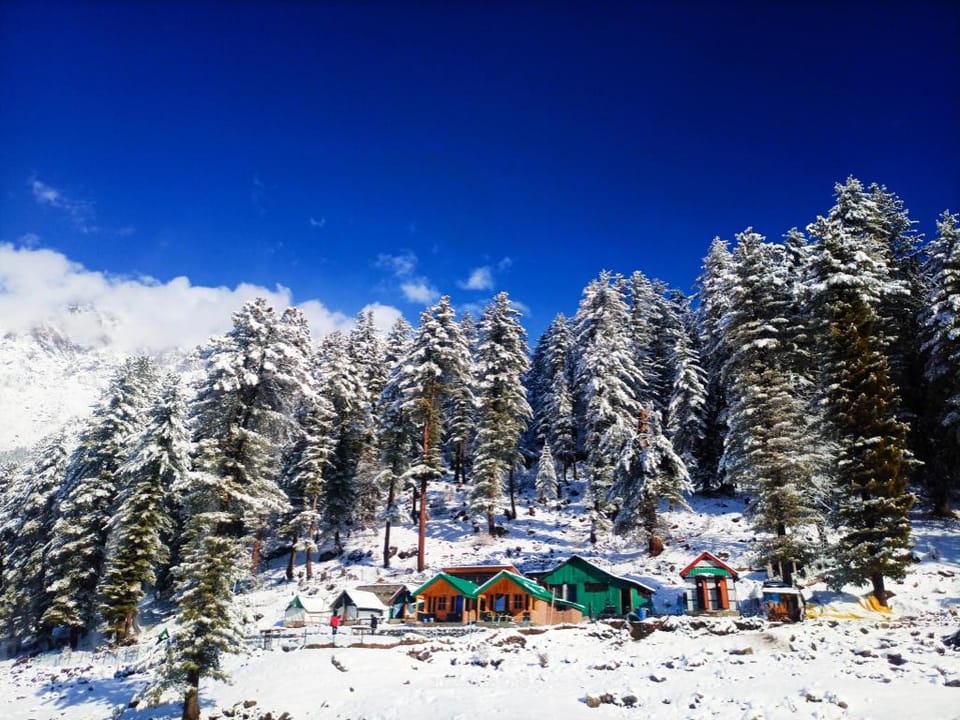 Singing Woods Kutla Apartment in Himachal Pradesh
