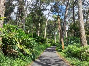 Cloud 9 Villa Vacation rental in Kerala