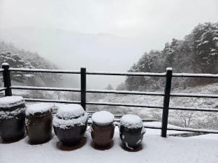 Daon Forest Pension Bed and Breakfast in South Korea