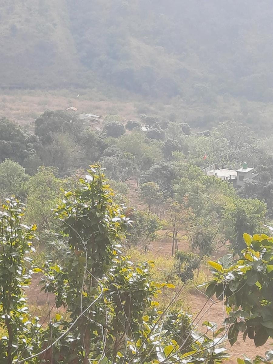 Nature valley  Home Stay(Marchula Jim Corbett) Apartment in Uttarakhand