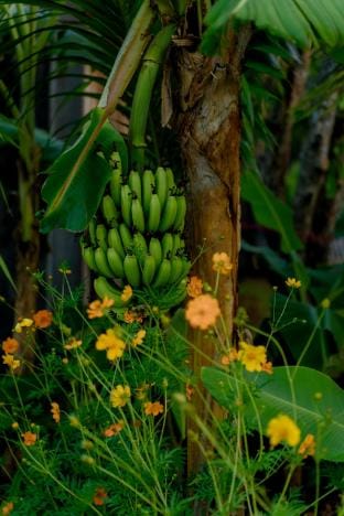 Xóm Sình Homestay & Farmstay Buôn Ma Thuột Đắk Lắk Vacation rental in Vietnam