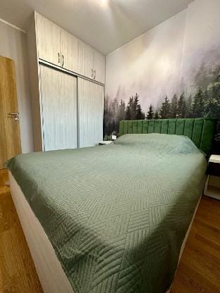 Q Apartment Apartment in Zlatibor