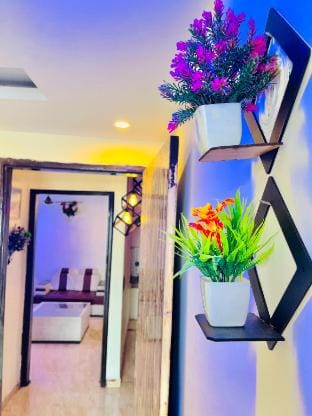 Private 1bhk Flat in New Delhi (100m to Metro) Apartment in Delhi