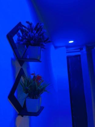 Private 1bhk Flat in New Delhi (100m to Metro) Apartment in Delhi
