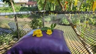 The Family 90's Vacation rental in Laos