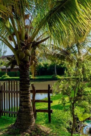 Xóm Sình Homestay & Farmstay Buôn Ma Thuột Đắk Lắk Vacation rental in Vietnam