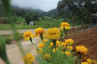 Long Jit Homestay Vacation rental in Thailand