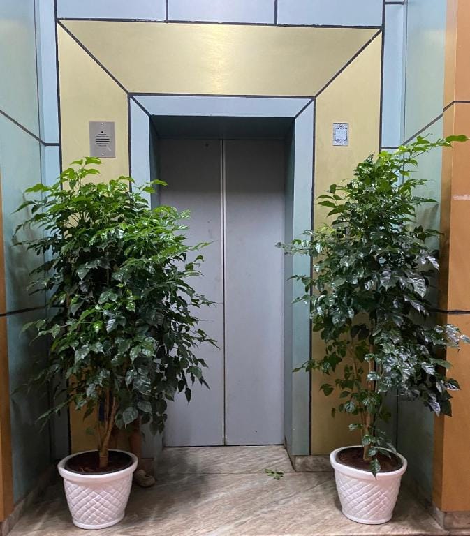 Nearest rooms Hotel in Kerala