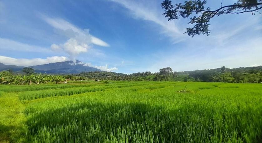 Purnama Mulia Hotel Hotel in West Java