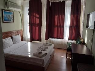 Blue Mansion  Vacation rental in Istanbul