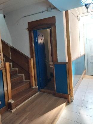 Blue Mansion  Vacation rental in Istanbul