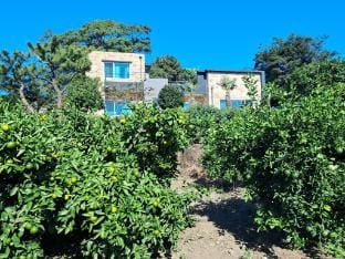 Seogwipo Hawon Pension Vacation rental in South Korea