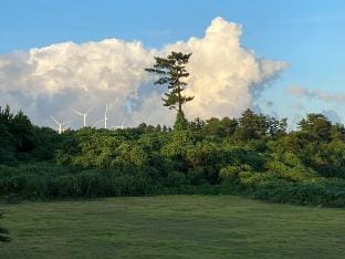 54 Pyeong Detached Pension Spacious Lawn Ocean View Pet-Friendly Vacation rental in South Korea