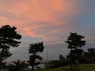 Detached Pension with Large Lawn, Ocean View, Pet-Friendly Vacation rental in South Korea