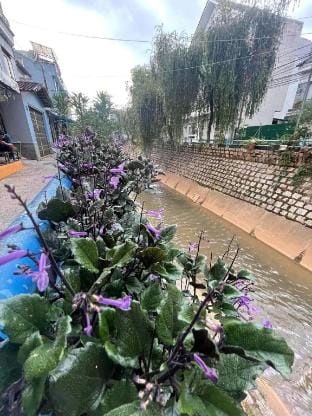 Andy's Home Vacation rental in Dalat