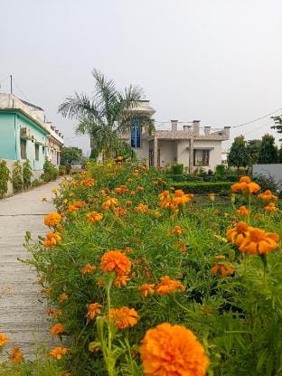 Belwal homestay  Vacation rental in Uttarakhand