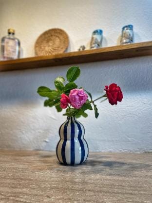 Historic artist’ s house under the Zobor hill Vacation rental in Slovakia