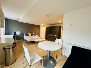 Spacious Studio Apartment in Zone 1 near Holborn Vacation rental in London Borough of Islington