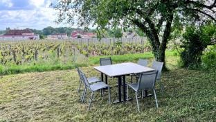 Loft Au Pied Des Vignes Apartment in Bourgogne-Franche-Comté
