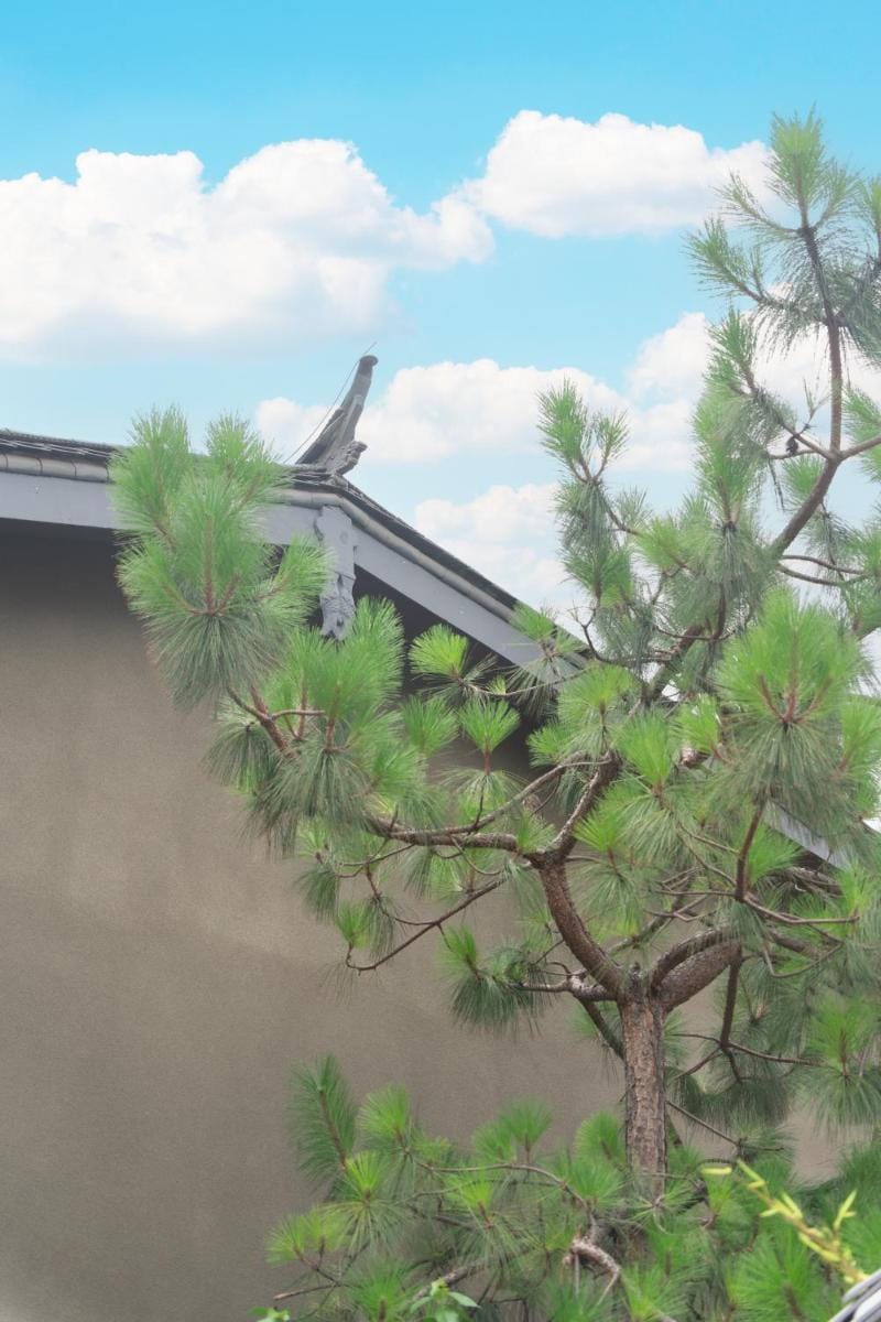 YSN Hill Breeze Retreat 云山南 玉龙雪山园林观景酒店 丽江古城束河白沙古镇店 Hotel in China