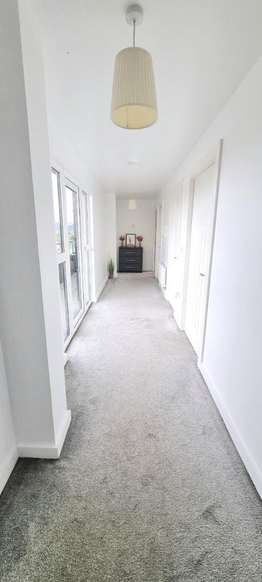 Sandford Penthouse Apartment in Belfast