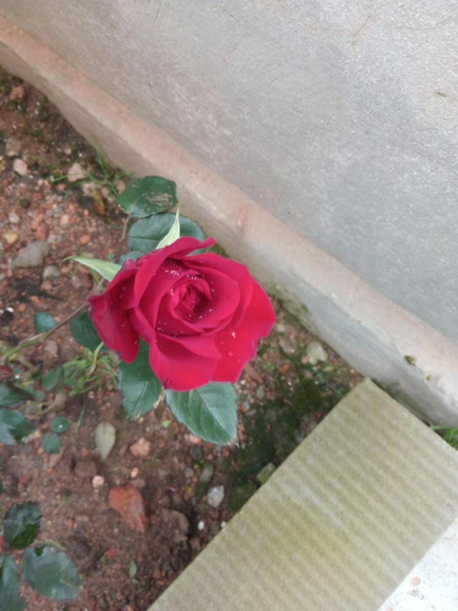 Pleasant Memories Vacation rental in Kodaikanal